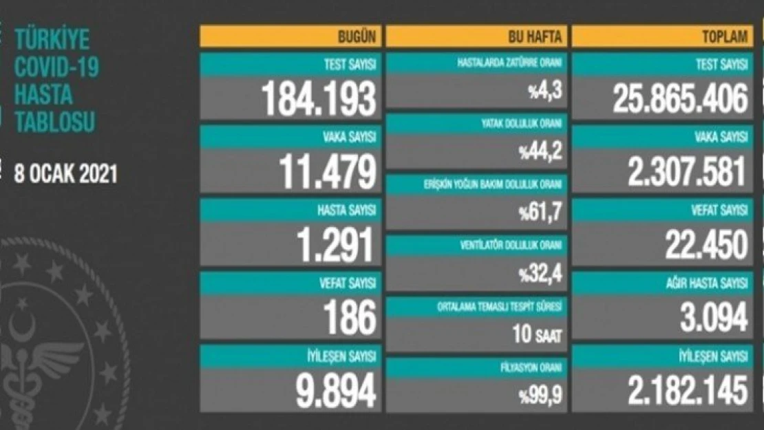 186 kişi hayatını kaybetti