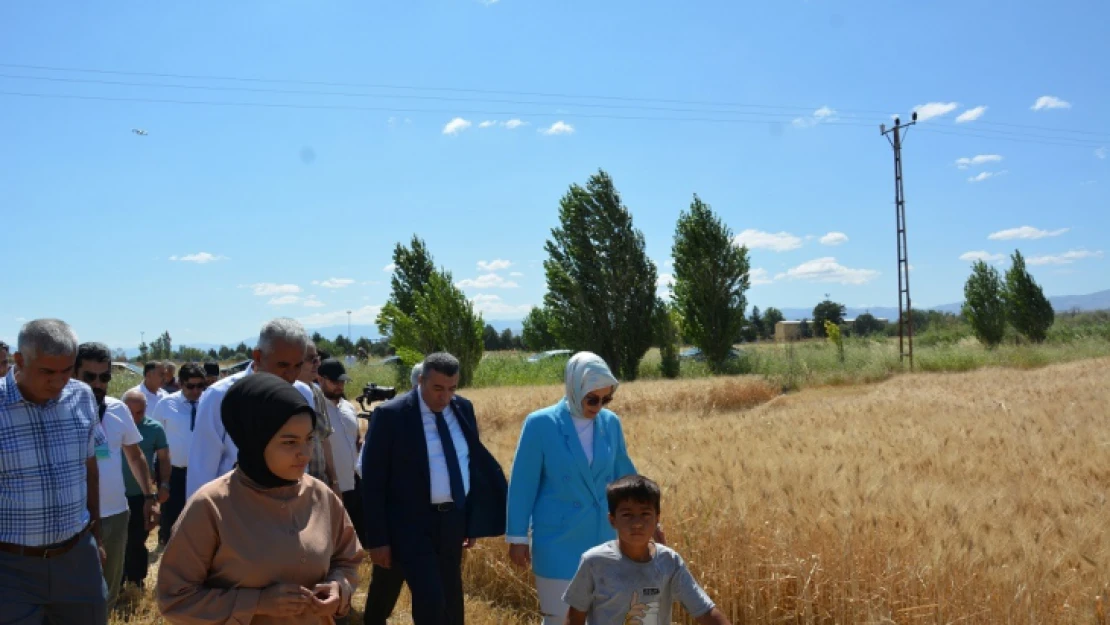 2022 Kasım Ayında Ektiğimiz Buğday ve Arpalar Hasat Edildi