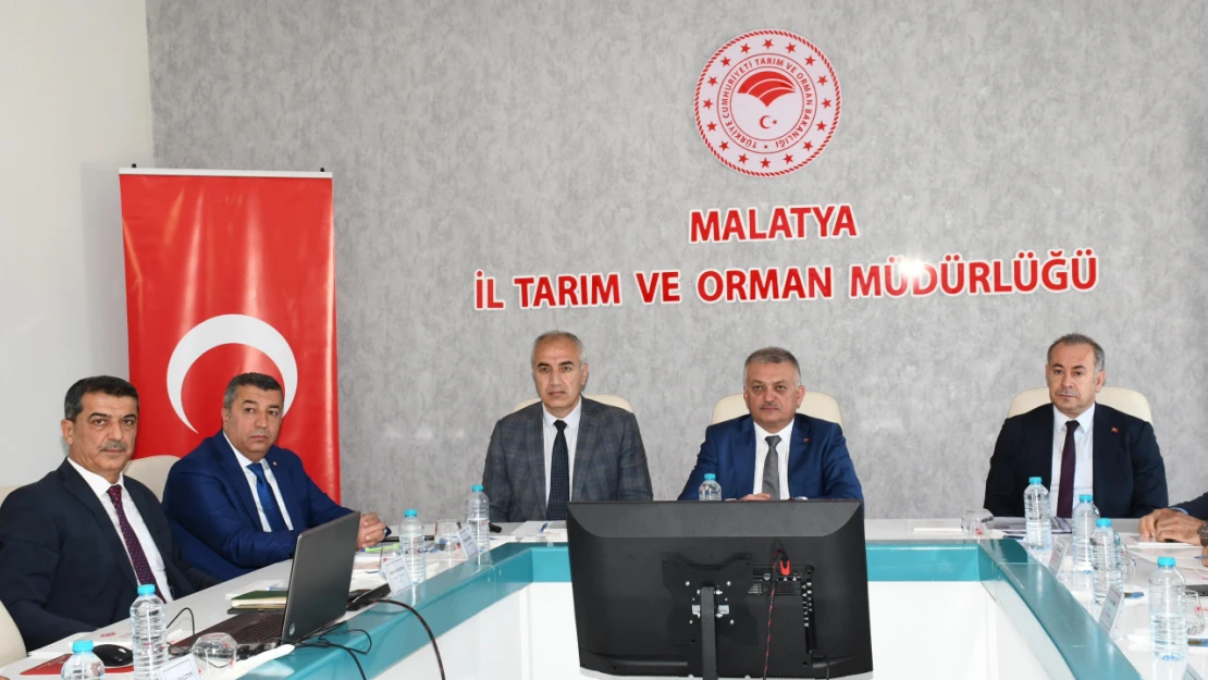 2024 Yılı Kayısı Rekoltesi Tahmini