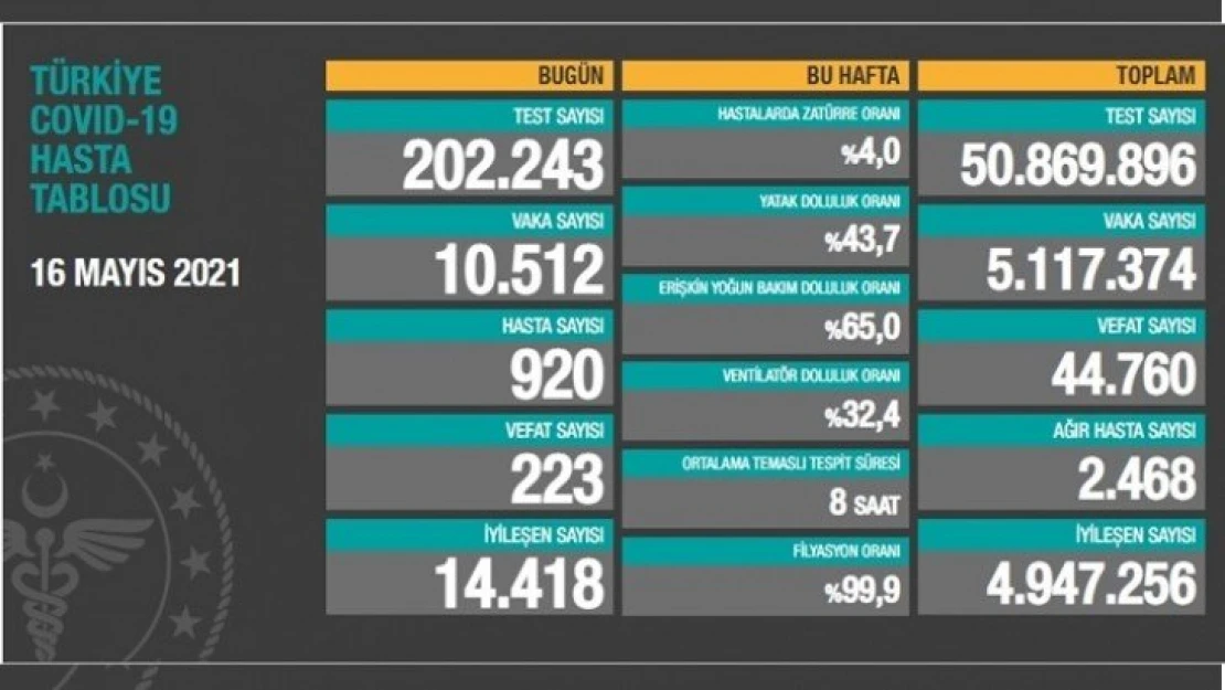 223 kişi hayatını kaybetti.