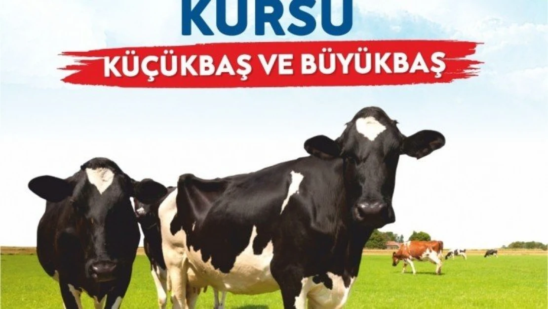 30 TL Karşılığında 'Büyükbaş ve Küçükbaş Kurban Kesim Kursu' düzenlenecek.