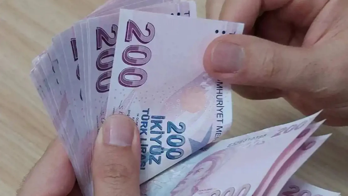 5 milyon lira ve üzeri ödenmemiş vergi ve cezalar kamuya açıklanacak