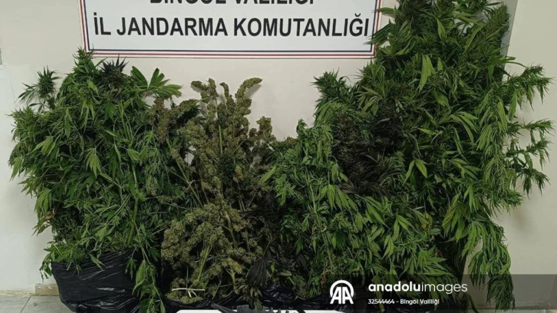 50 kilo 998 gram esrar ele geçirildi