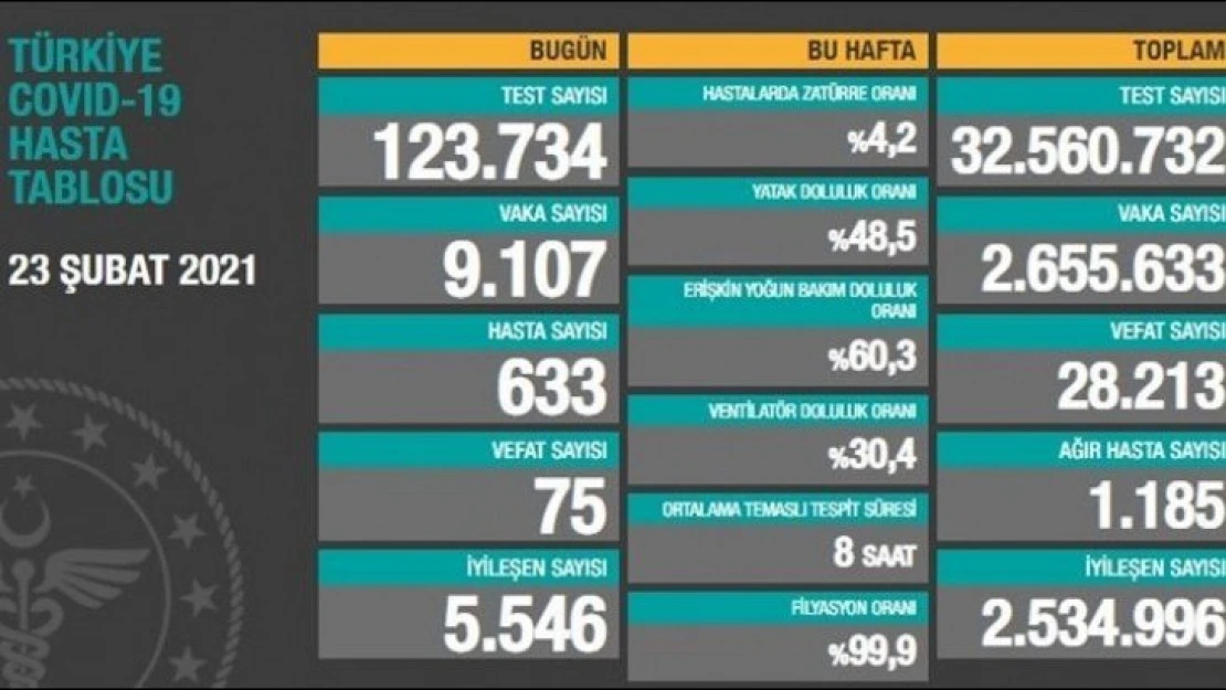 75 kişi hayatını kaybetti