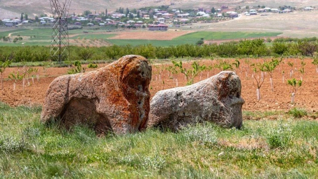 805 eserin tespiti yapılarak bir kitapta toplanıyor