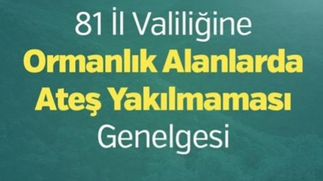 81 İl Valiliğine Ormanlık Alanlarda Ateş Yakılmaması Genelgesi