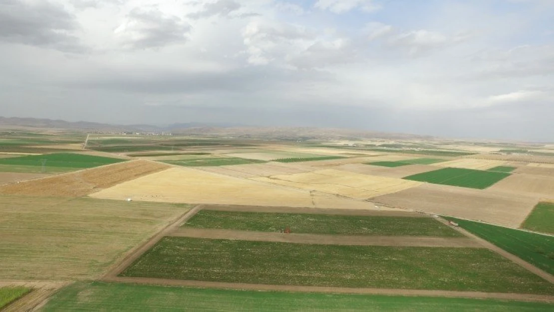 83 Milyon Liralık Ürün Hasadı Çiftçilerin Yüzünü Güldürdü.