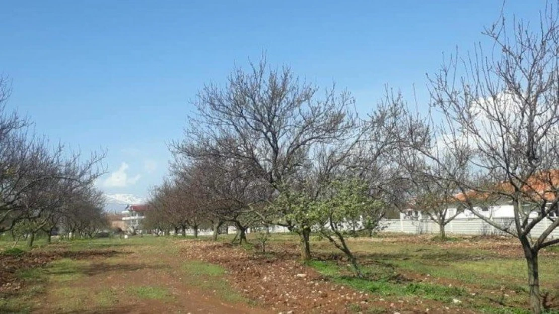 Ağbaba'dan, Bakan Pakdemirli'ye sorular