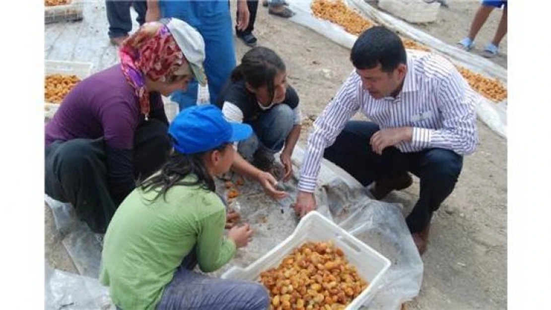 Ağbaba Mevsimlik Tarım İşçilerini Meclis Gündemine Taşıdı