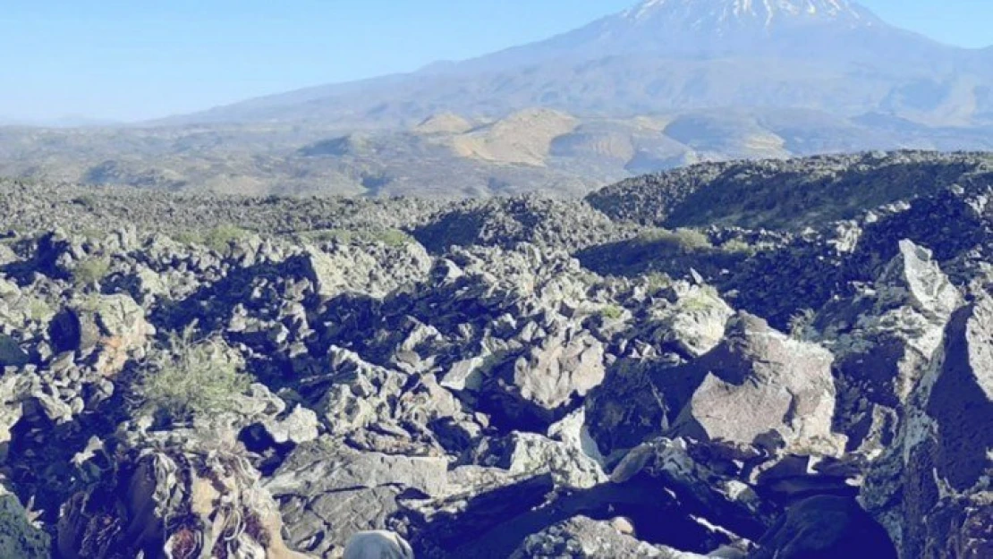 Ağrı-Iğdır-Kars İllerinde 'Yıldırım-3 Ağrı Dağı' Operasyonu Başlatıldı