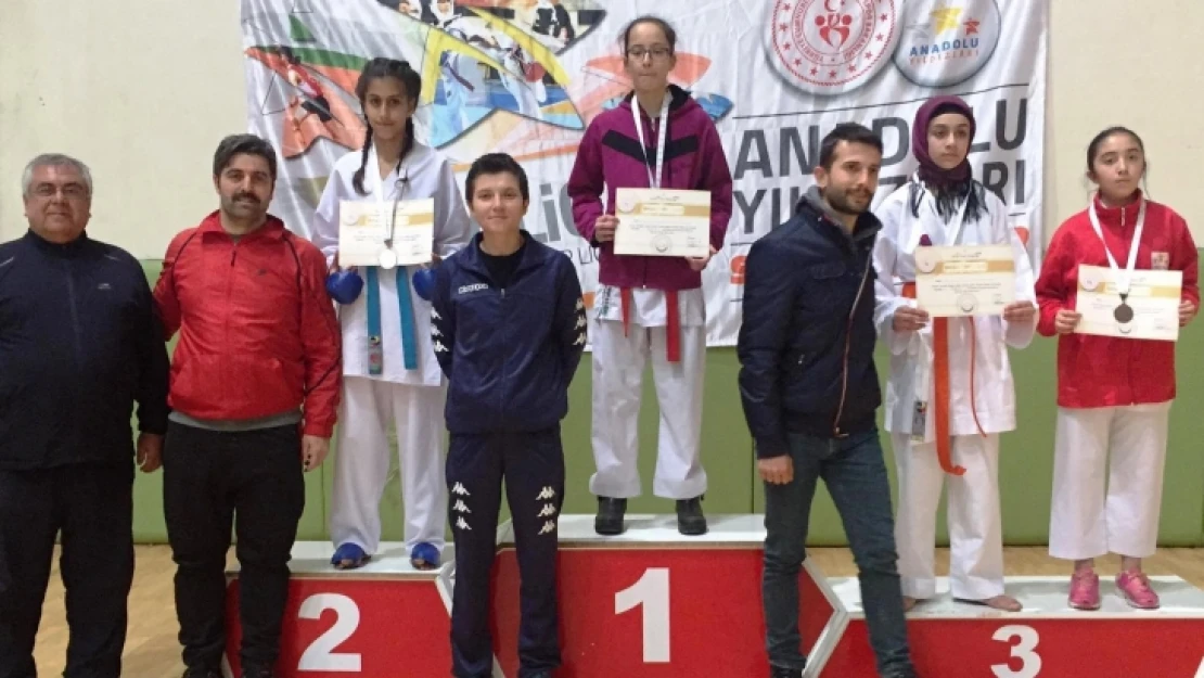 ANALİG Karate Çeyrek Final Müsabakaları Muş'ta Yapıldı