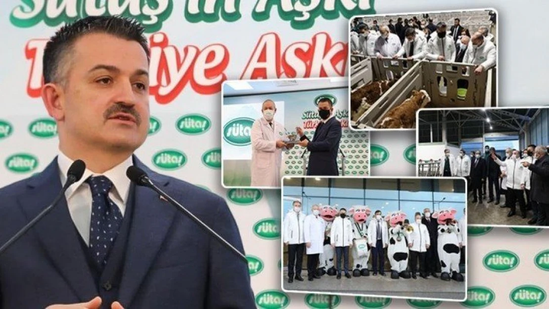 Bakan Pakdemirli: 'Son 18 Yılda, Hayvancılığa Reel Rakamlarla 73 Milyar Lira Destek Verdik'