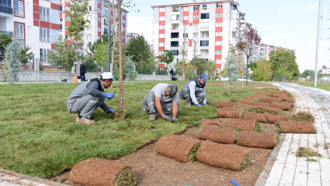 Başkan Çınar, Bostanbaşı Mahallesindeki Lavanta Parkı İnceledi