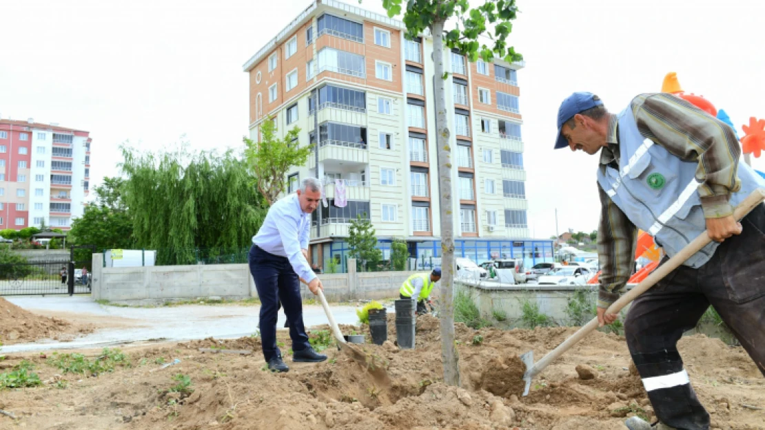 Başkan Çınar Yavuz SelimMahallesinde Yapımı Süren Yeni Park Alanını İnceledi