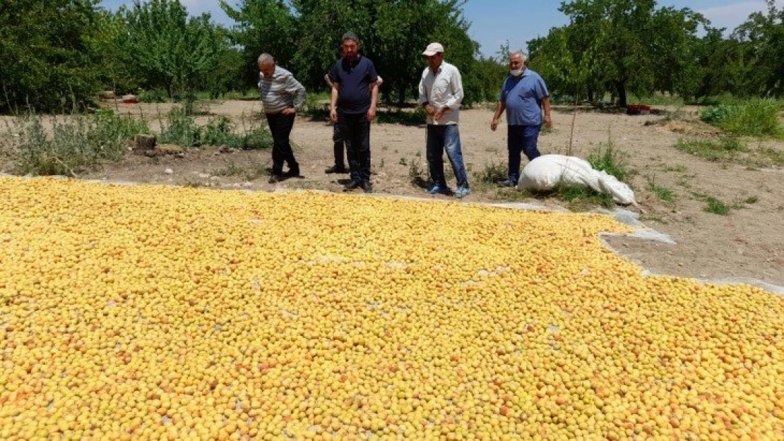 Başkan Kiraz: 'AKP, çiftçiyi kaderiyle baş başa bırakıyor'