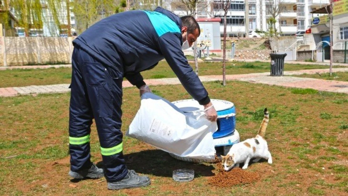 Başkan Şerifoğulları'ndan Çağrı 'Küçük Dostlarımızı Unutmayalım'