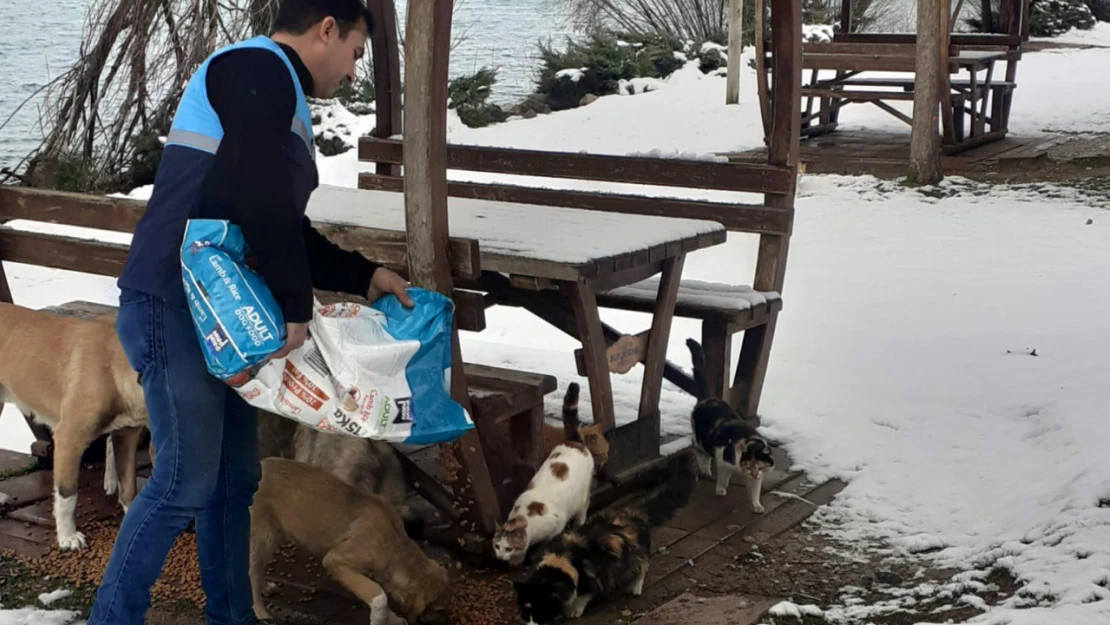 Battalgazi Belediyesi Can Dostlarımızı Unutmuyor