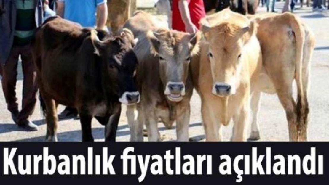 Bayraktar, kurbanlık fiyatlarını açıkladı