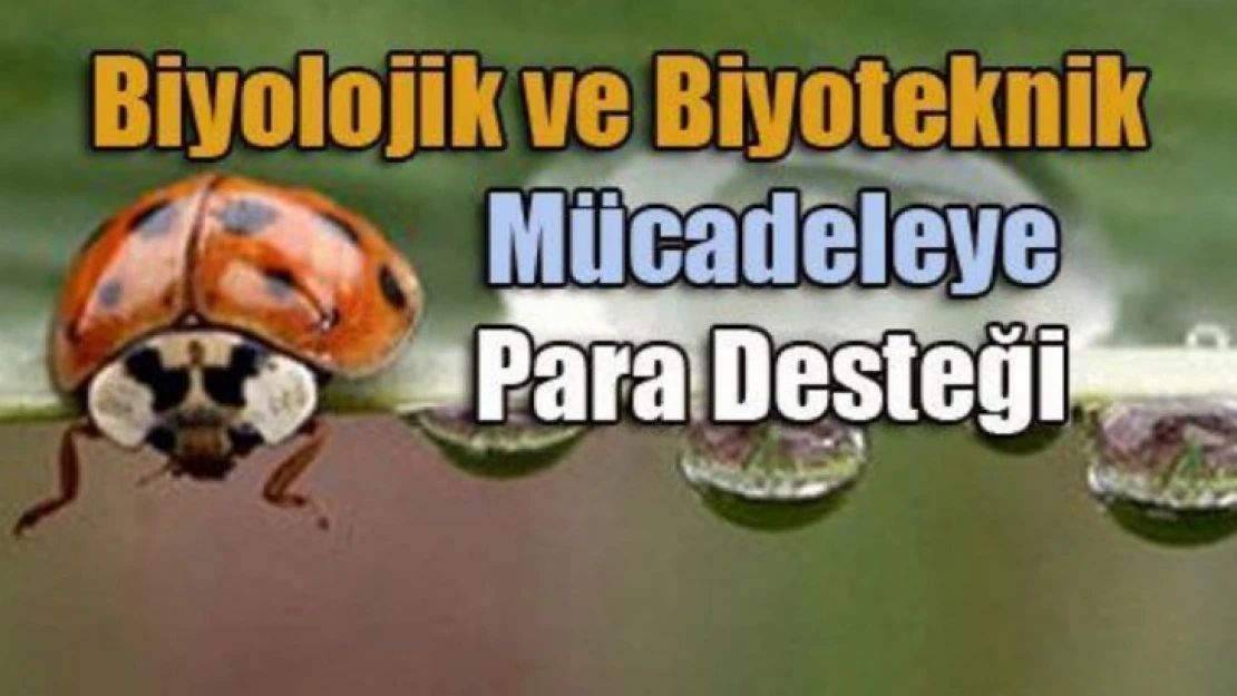 Biyolojik Ve Biyoteknik Mücadele