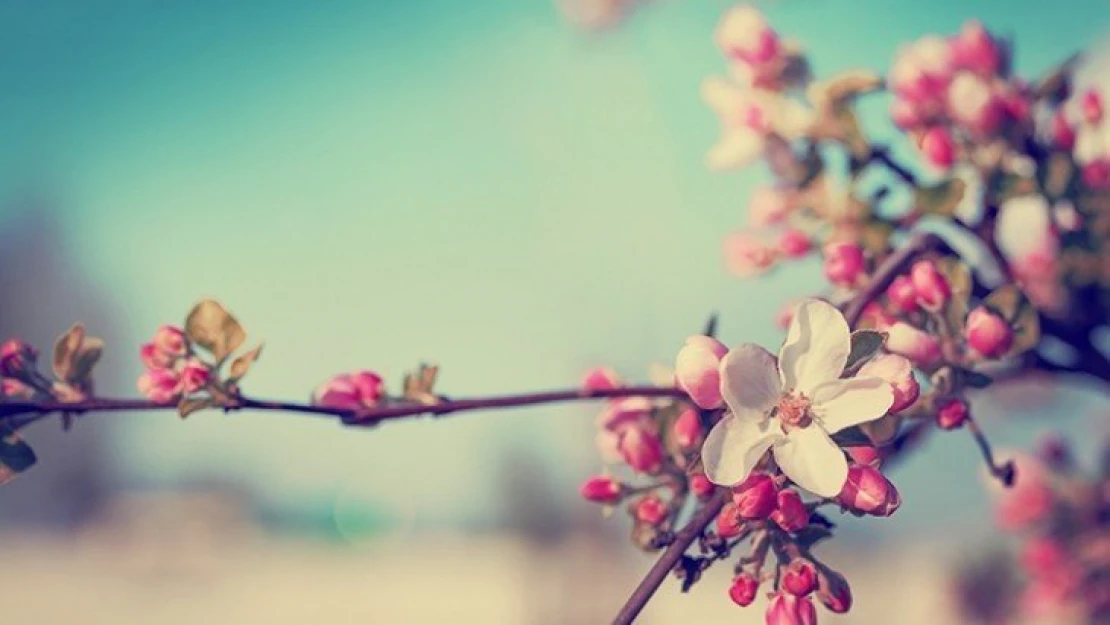 Bu Nevruz, Bize Bir Şeyler Anlatıyor!