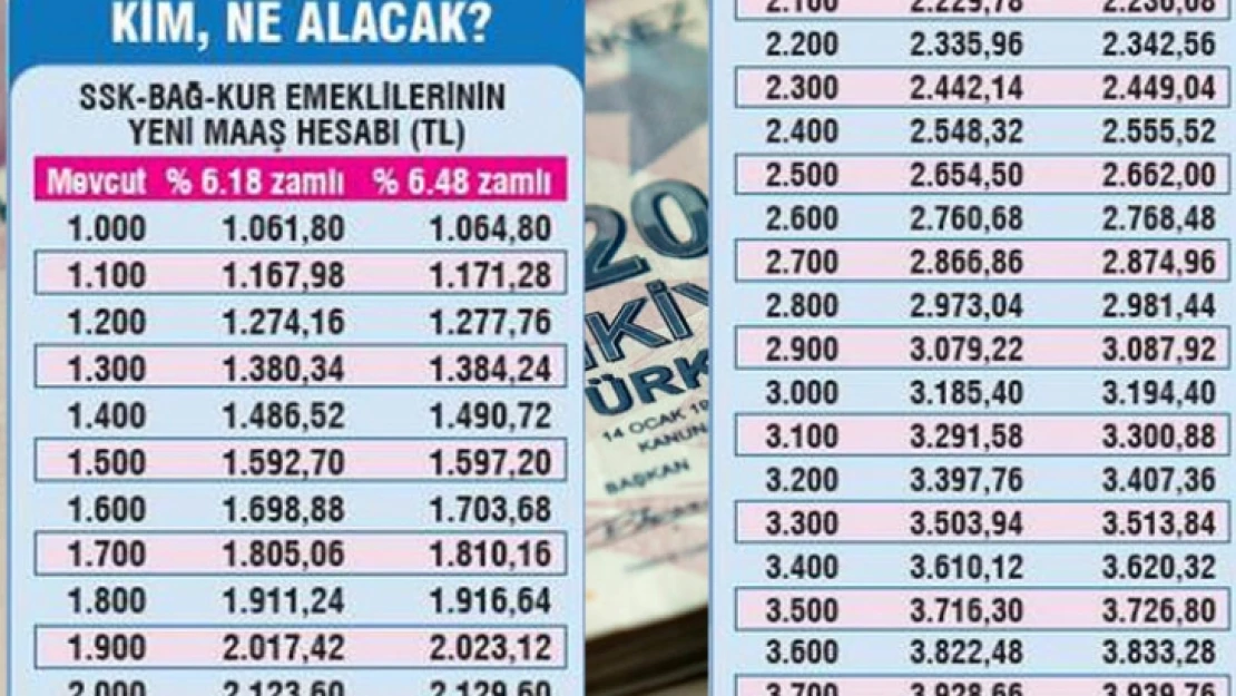 Kim ne kadar maaş alacak? İşte zamlı liste