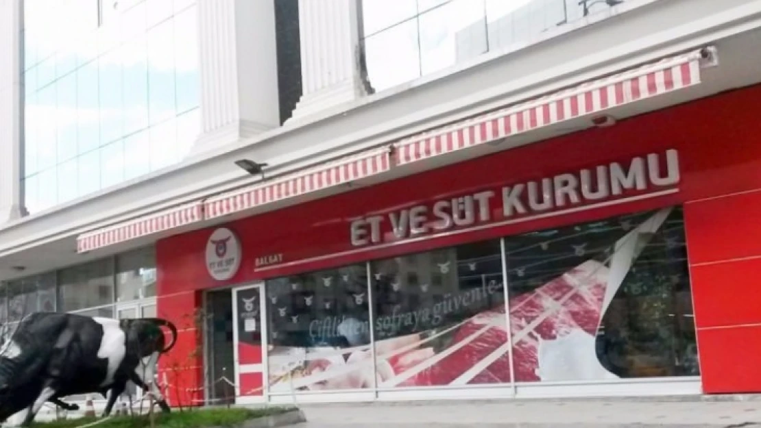 Et ve Süt Kurumu'nun 'sahtesi' çıktı!