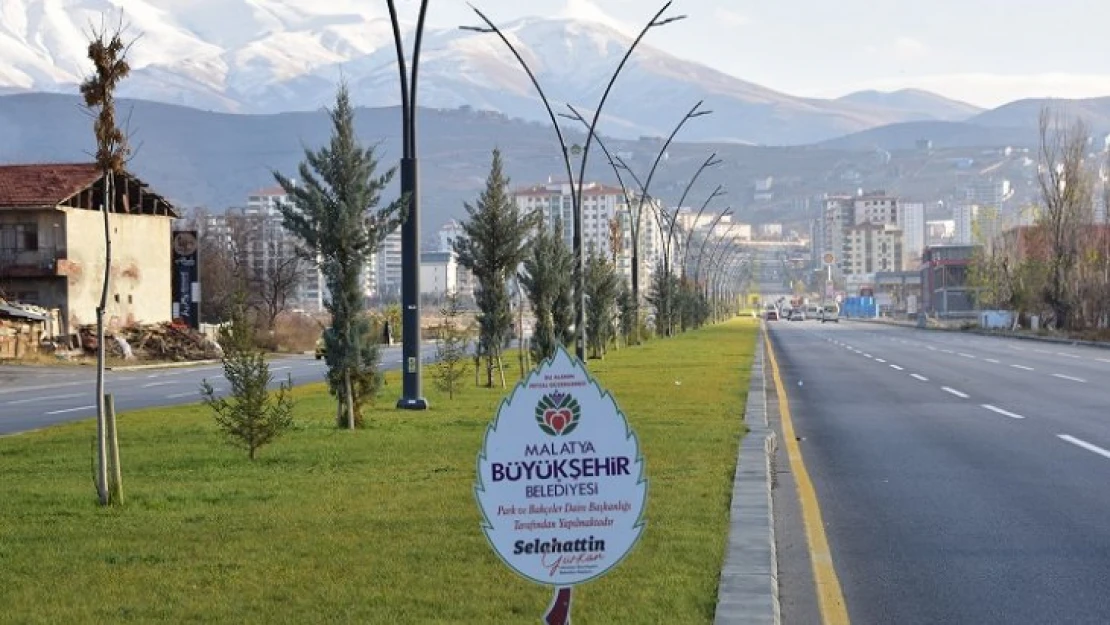 Büyükşehir Belediyesi Güz Dönemi Ağaçlandırma Çalışmaları Devam Ediyor