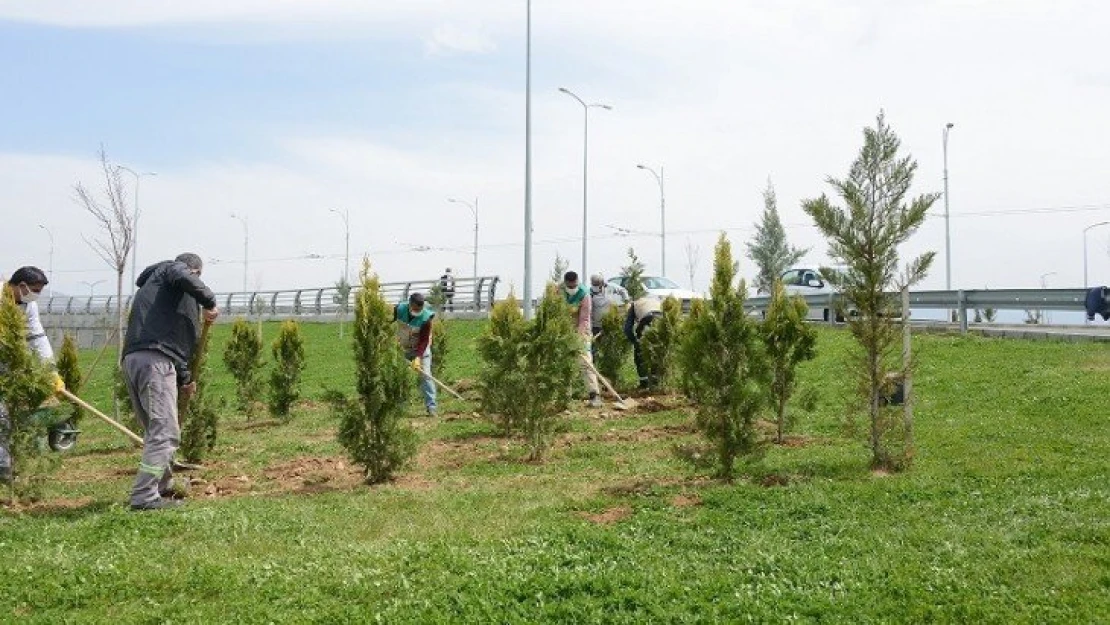 Büyükşehir Belediyesi Parkları Ve Refüjleri Yenileniyor