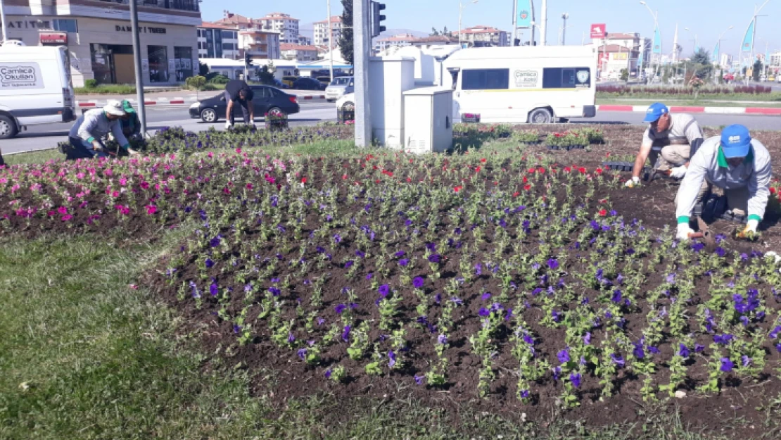 Büyükşehir Belediyesi Parkları Ve Refüjleri Yeniliyor