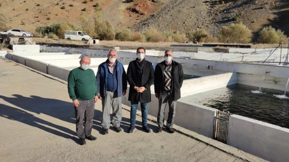 Çemişgezek Kaymakamı Güder, yavru balık üretim tesisini inceledi