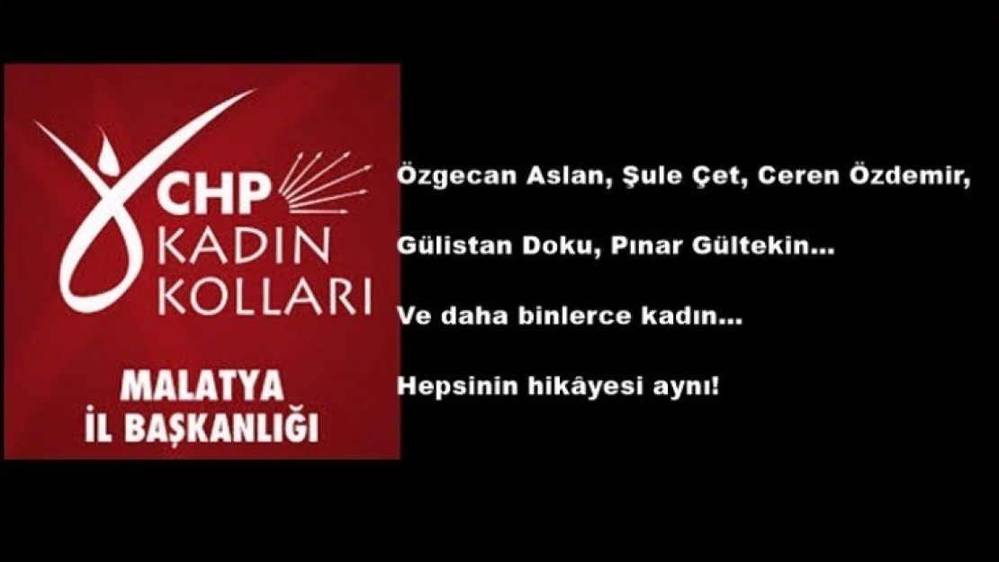 CHP Kadın Kollarından Kadın Cinayetleri açıklaması