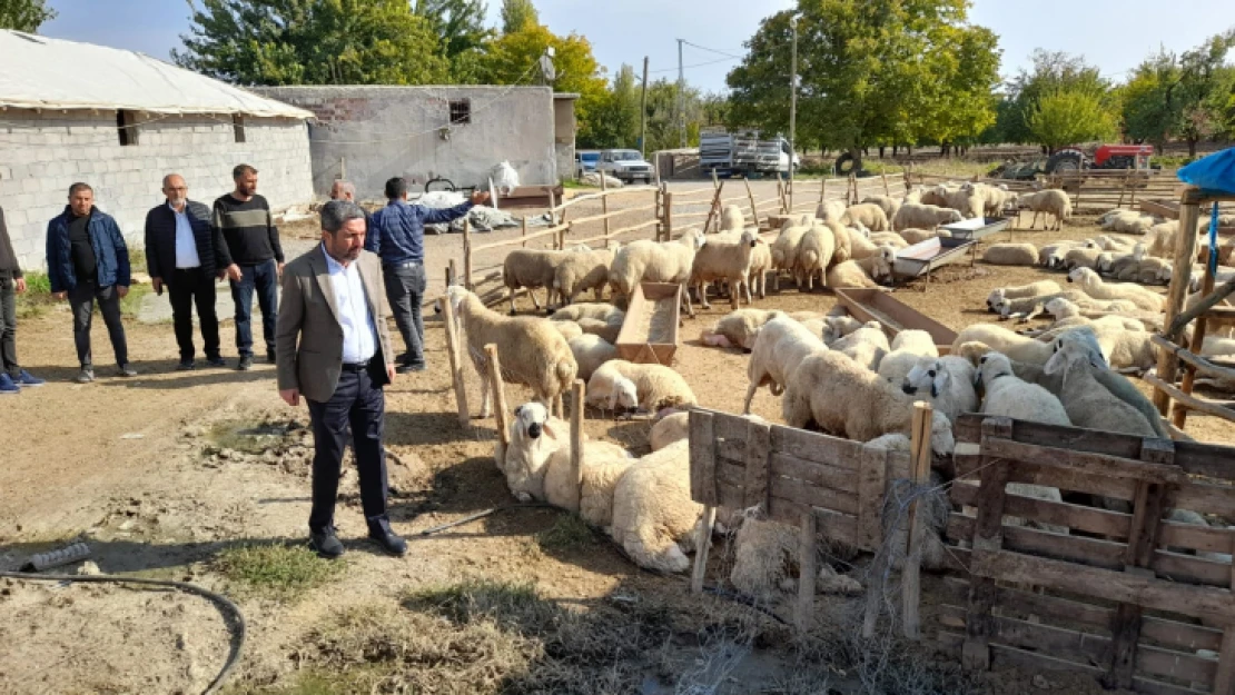 CHP'li Kiraz 'Mağdur olan üreticimizin zararının karşılanması gerekiyor'