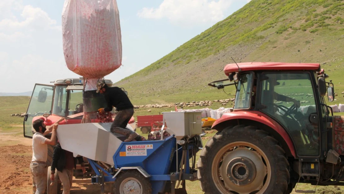 ÇKS kayıt yenileme başvuruları e-Devlet Kapısı üzerinden alınmaya başlandı