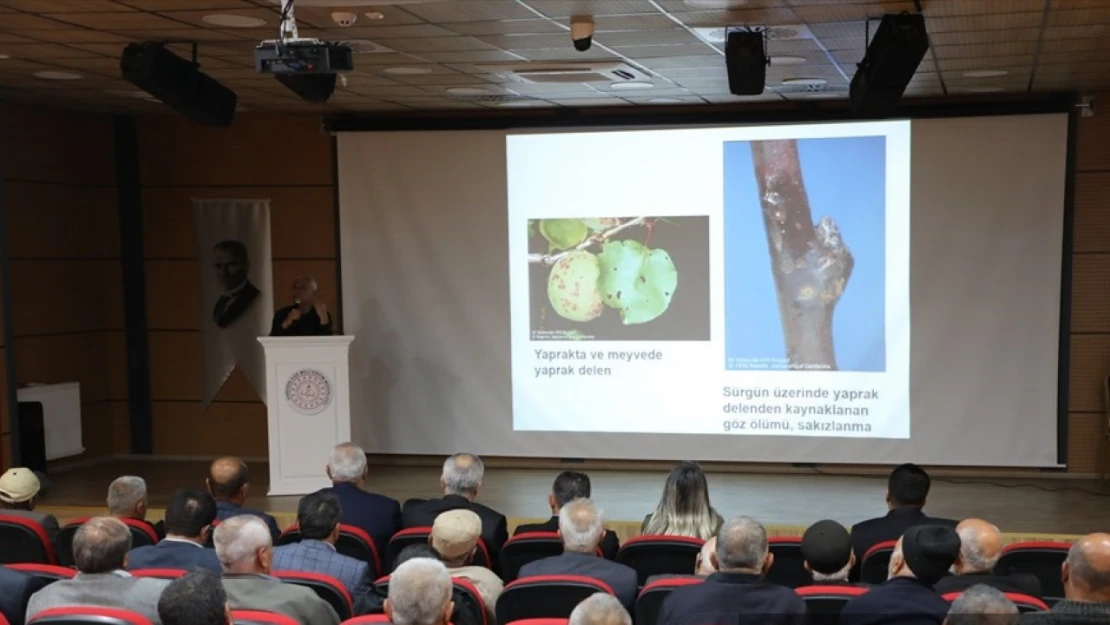 Darende'de çiftçilere kayısı bahçelerinde sonbahar bakımı eğitimi verildi