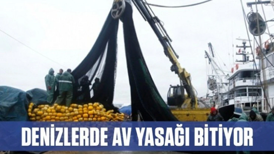 Denizlerde av yasağı sona eriyor…