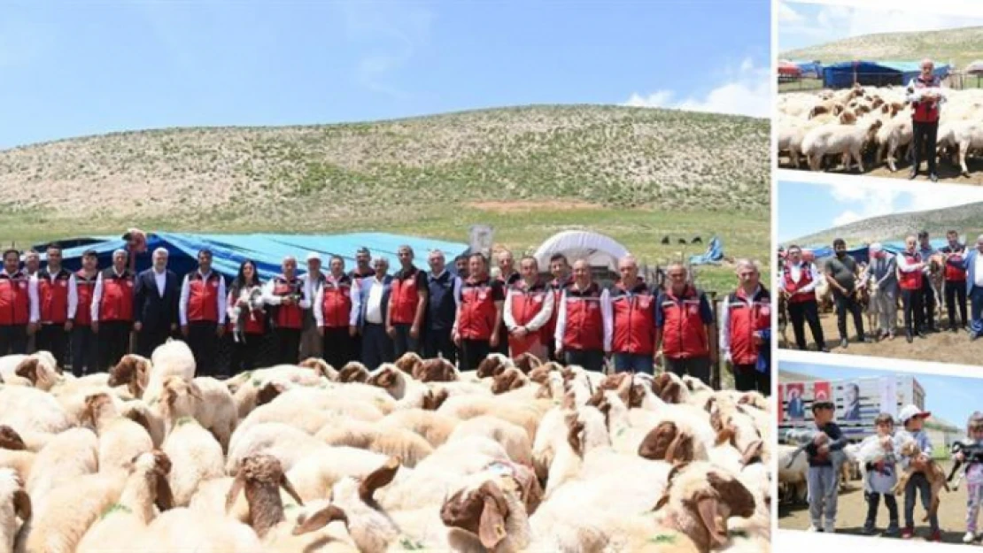 Deprem Bölgesinde Telef Olan 43 Bin 618 Küçükbaş Hayvan Sahiplerine Teslim Edildi.