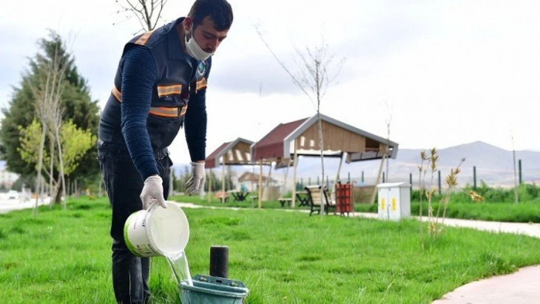 Doğada Yaşayan Tüm Canlılara Sahip Çıkmak Gerekiyor