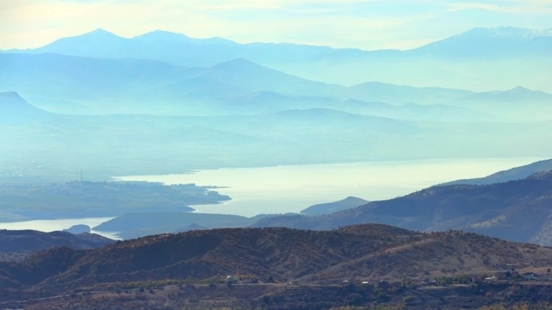 Elazığ'da 3 yılda 20 bini aşkın kayısı ağacı toprakla buluşturuldu