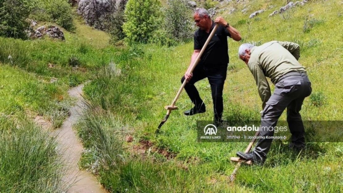 Elazığ'da kaçak salep soğanı toplayan 6 kişiye 1 milyon 464 bin lira ceza kesildi