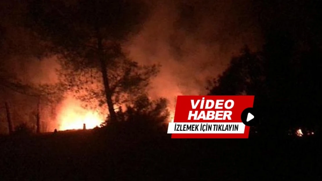 Elazığ'da kayısı bahçelerinde çıkan yangın söndürüldü