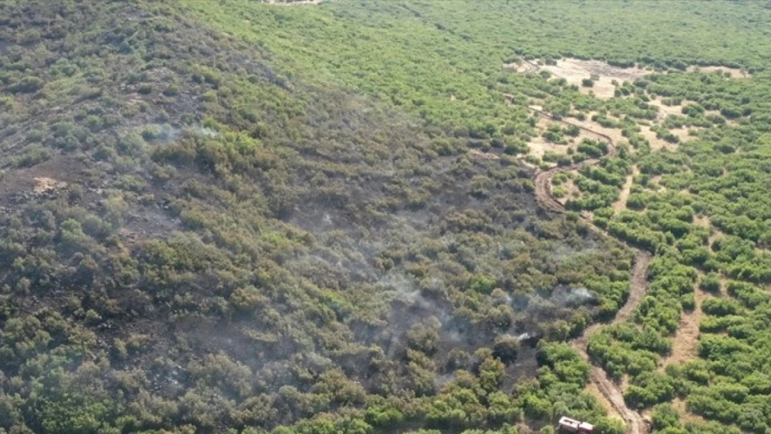 Elazığ'da ormanlık alanda çıkan yangın kontrol altına alındı