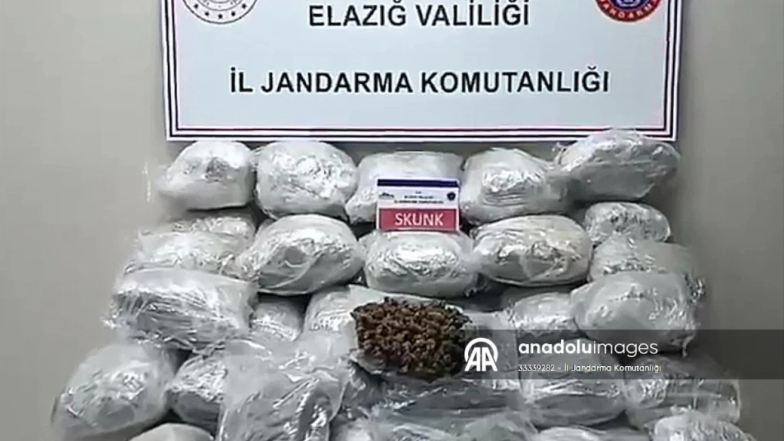 Elazığ'da tırın dorsesine gizlenmiş 138 kilogram skunk bulundu