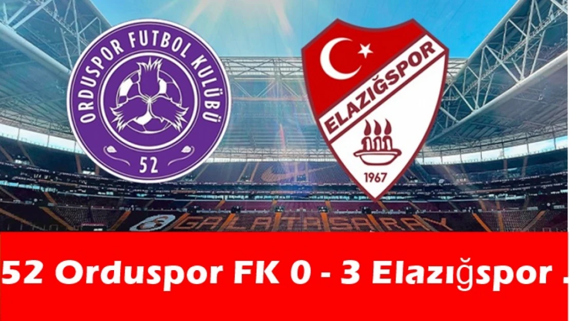 Elazığspor TFF 2.Lig'de!.