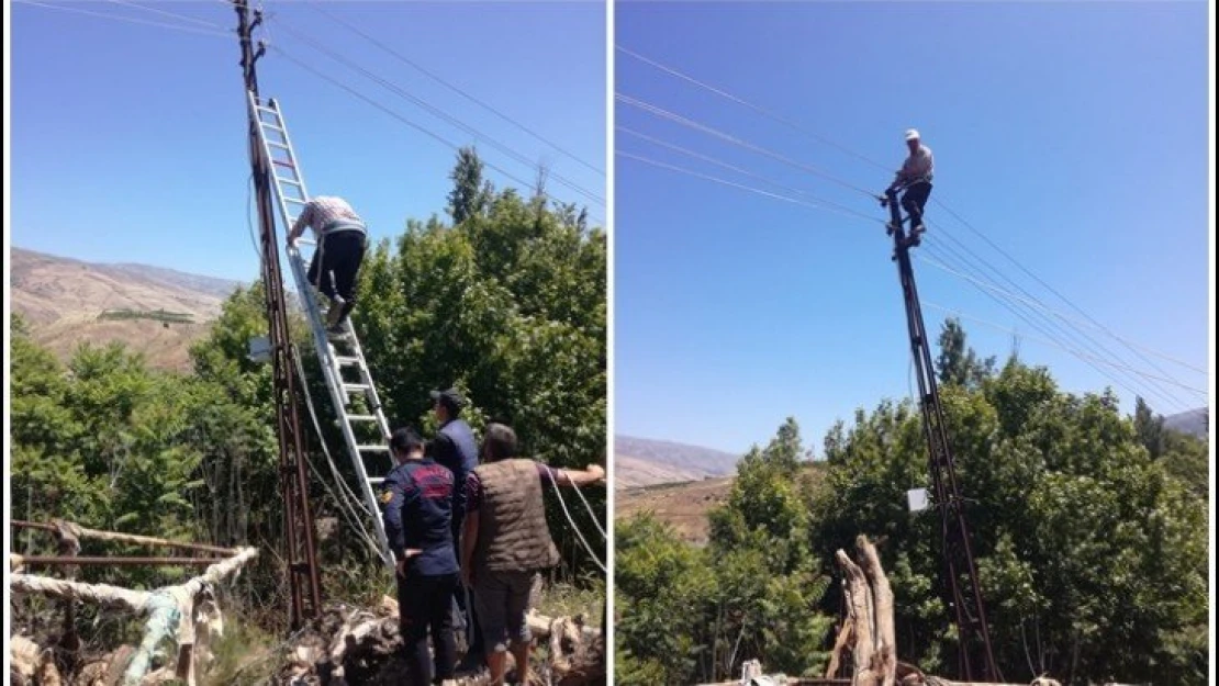 Elektrik Direğinde Mahsur Kaldı, İtfaiye Kurtardı