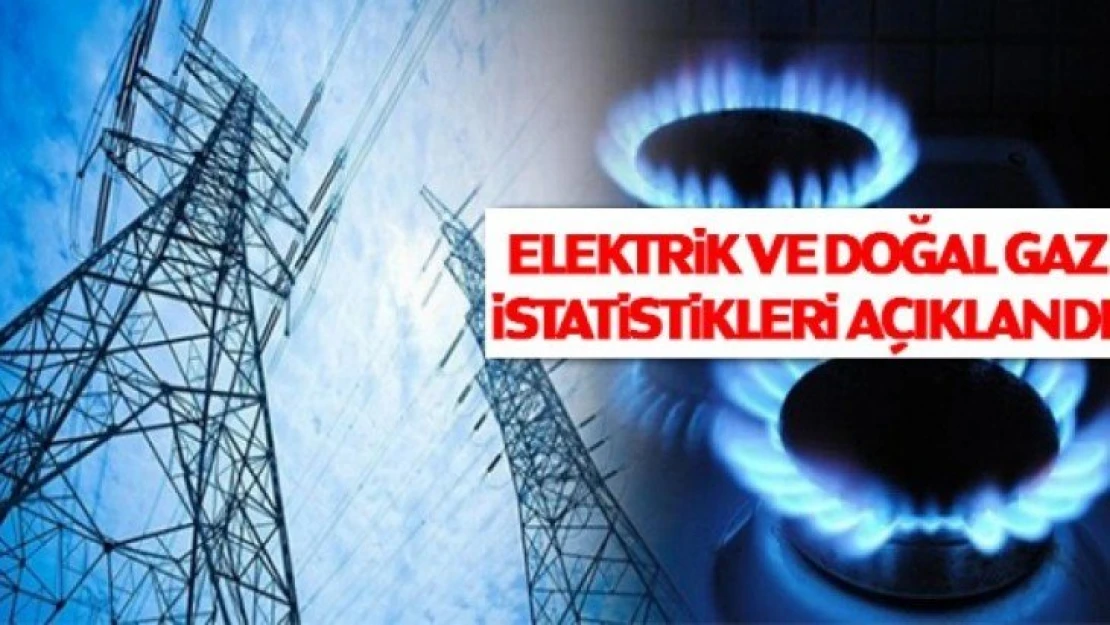 Elektrik ve doğalgaz fiyat istatistikleri belli oldu