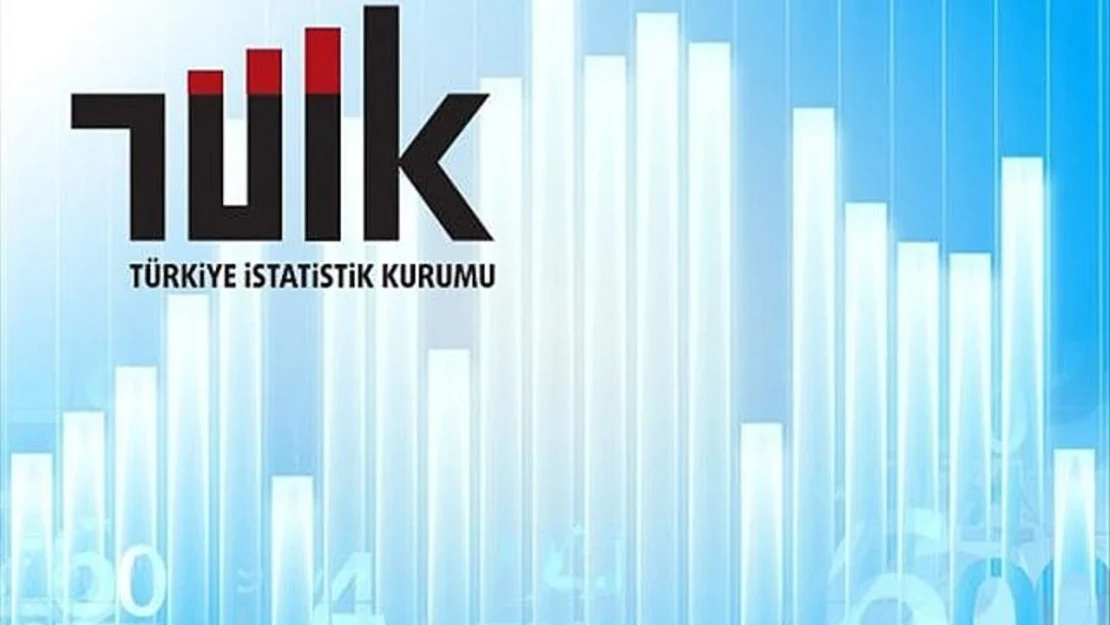 En yüksek gelir grubunun toplam gelirden aldığı pay yüzde 48,7 oldu