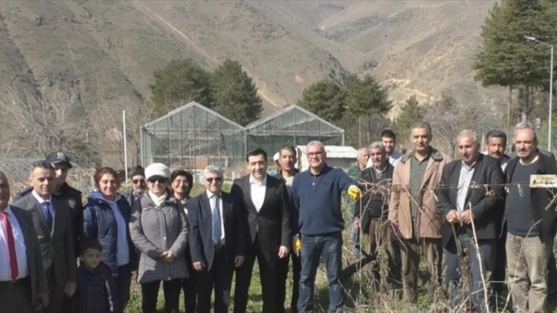 Fırat Üniversitesi Keban MYO tarafından çiftçilere bağ budama eğitimi verildi