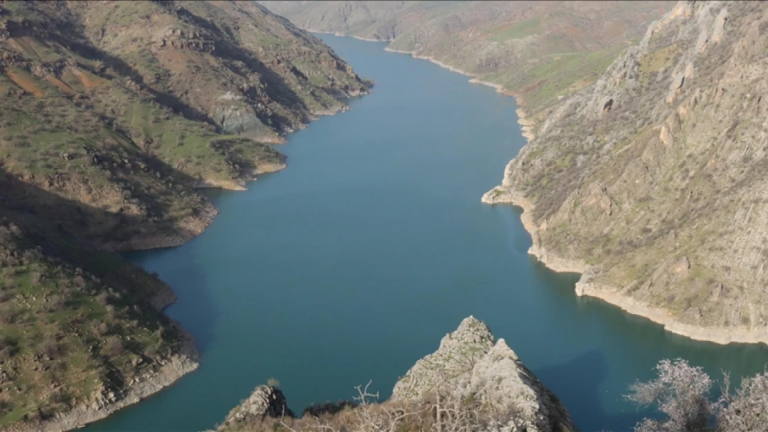 Fırat ve Dicle nehirlerindeki çoklu baskılar balık türlerini tehdit ediyor