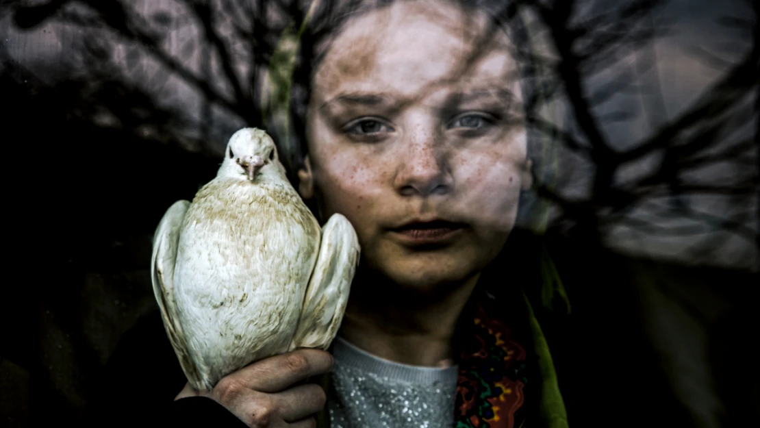 'Göz Alabildiğine Yansımalar' Fotoğraf Yarışması