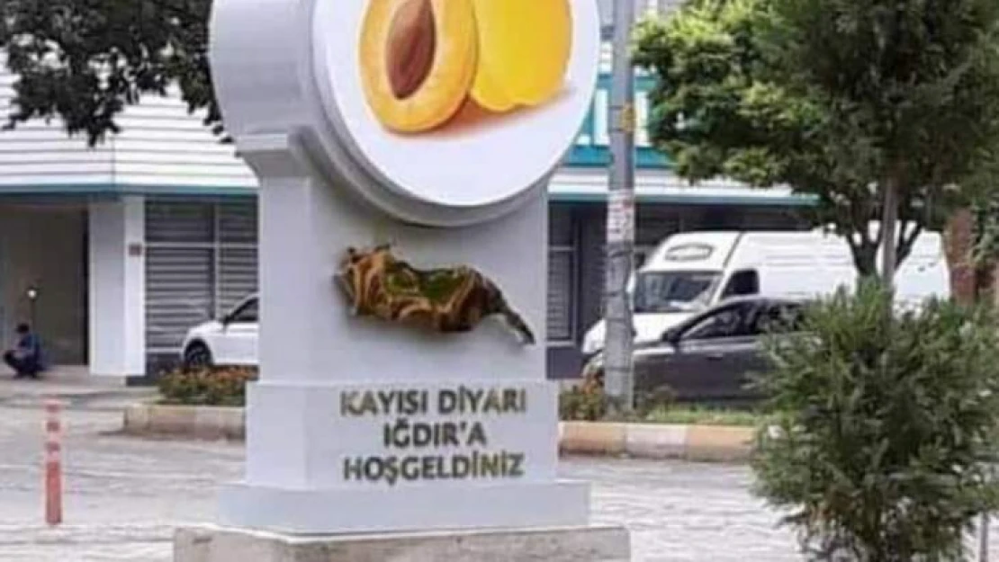 Festivali'de Kayısıyı'da Kaptırıyoruz Birilerine